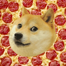 Pizza Doge - 16 points