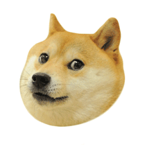 Rainbow Doge - 256 points