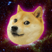 Space Shake Doge - 4 points
