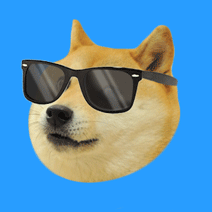 Sunglasses Doge - 512 points