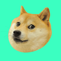 Wink Doge - 2 points